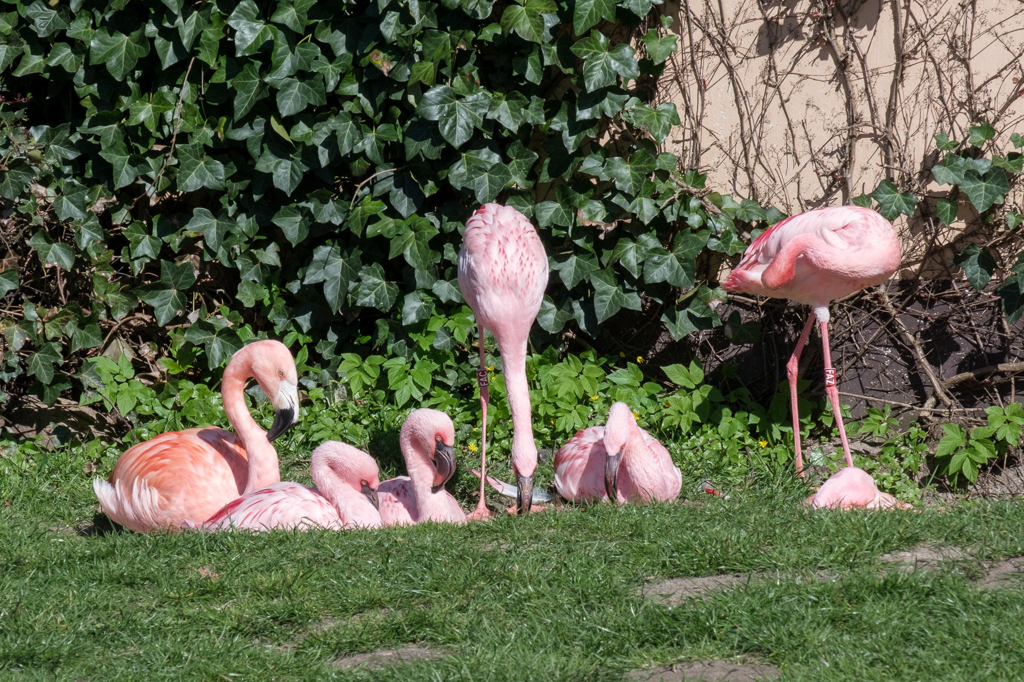 Tierpark in Gettorf 2023