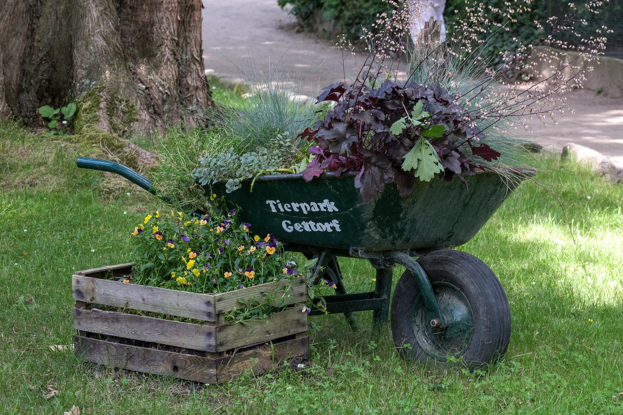 Tierpark in Gettorf 2024