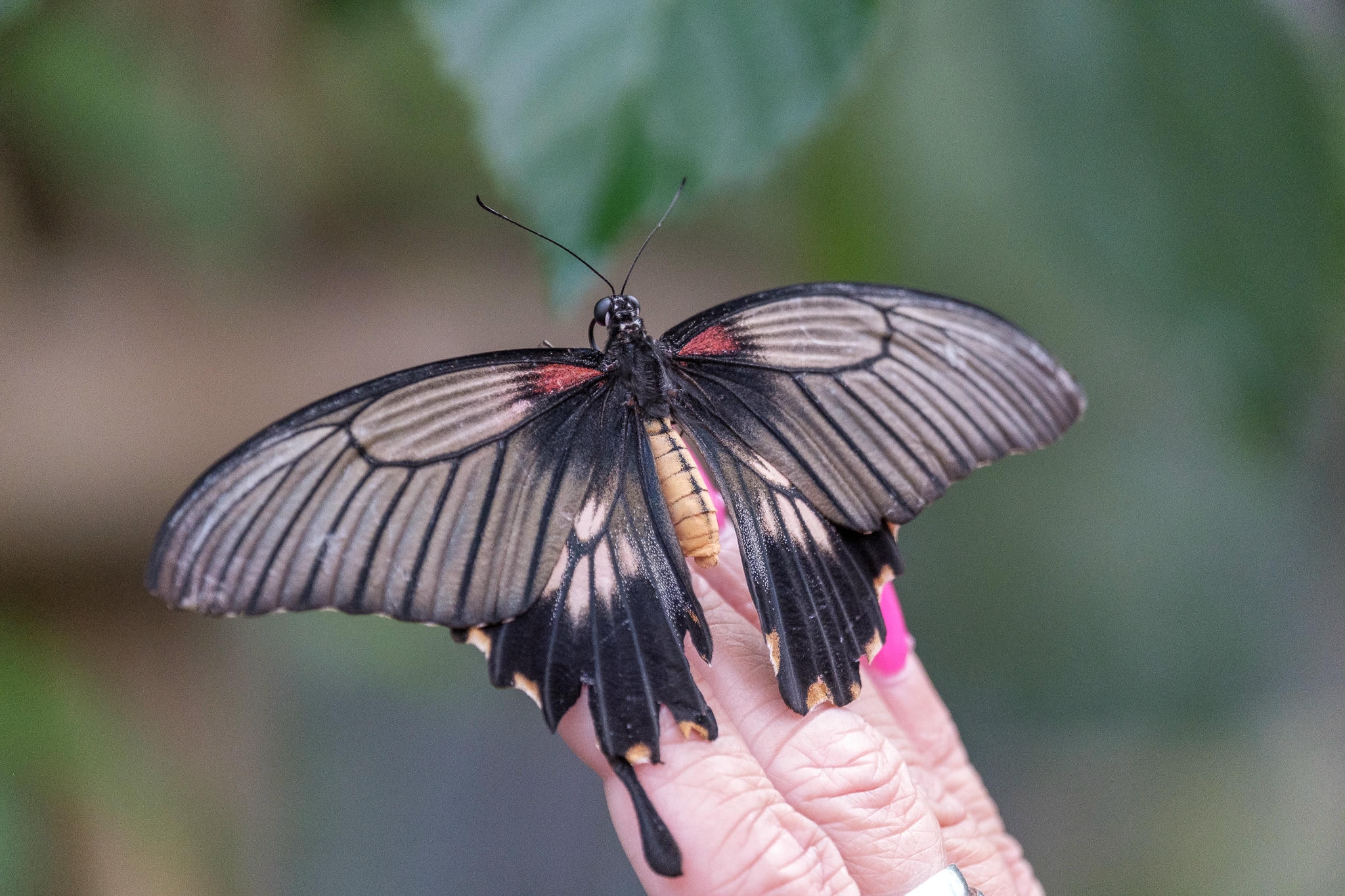 Tierpark in Gettorf 2025