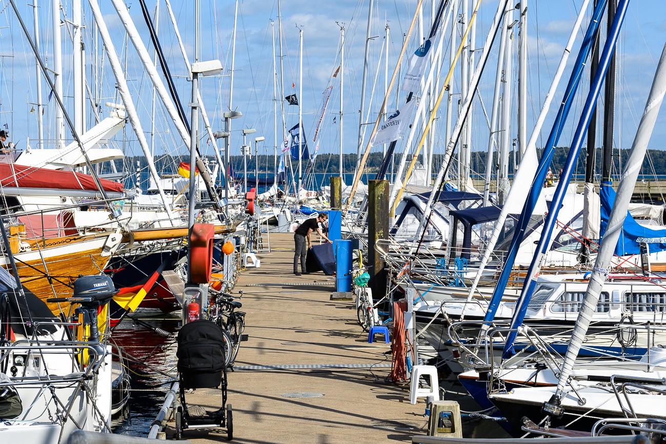 Aalregatta 2017 in Eckernförde